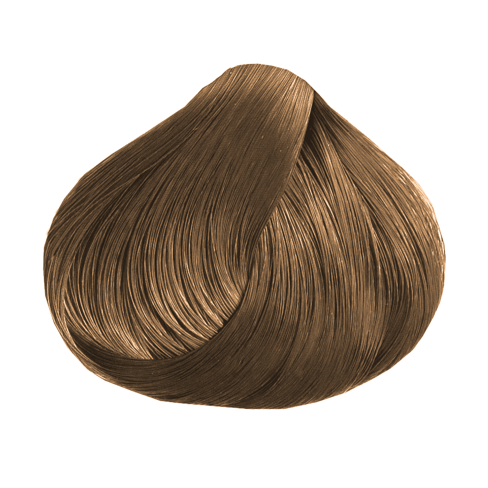 2/12 · Negro Azulado Ceniza Azulada