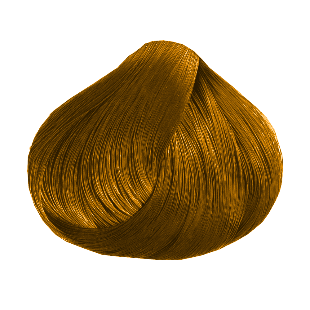 1/1 · Negro Ceniza